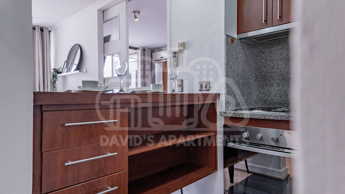 Santiago Apartment | Apartment 18th floor Providencia Metro Manuel Montt