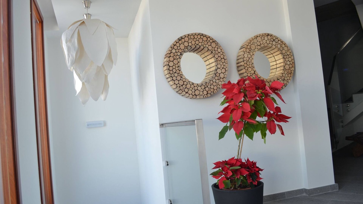 Telde Apartment | Apartment 1B Telde. Gran Canaria
