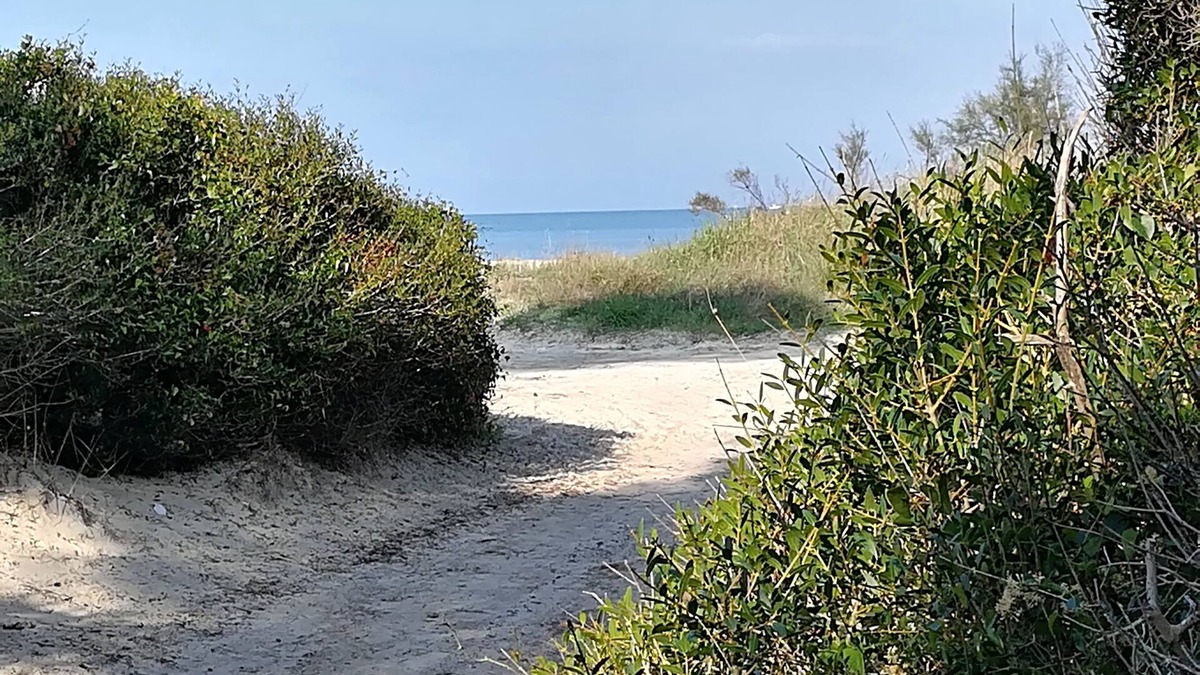 Mazzanta Apartment | Apartment 200 meters from the sandy beach and the pine forest