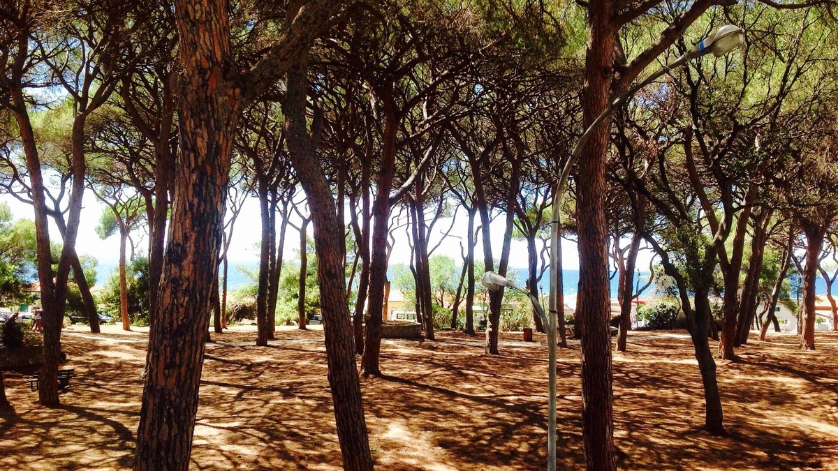 Follonica Apartment | Apartment 50m from the sea all service