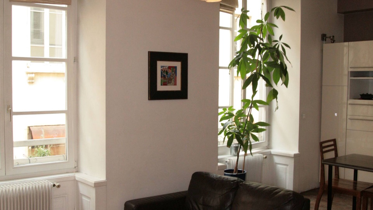 Griffon - Royale Apartment | Apartment 60m2 1 Bedroom and double living room - Lyon 1er proche Hotel-de-Ville
