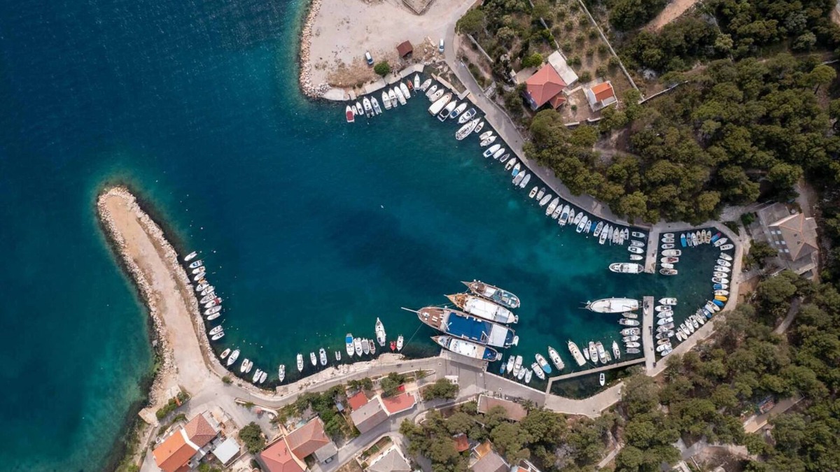 Mandre Apartment | Apartment Ante - comfortable & free parking: A3(4) - Mandre, Island Pag, Croatia