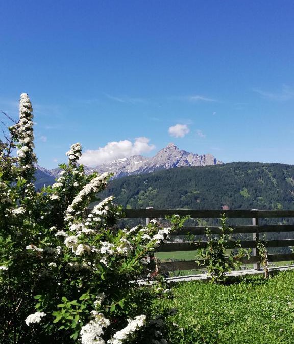 Ellboegen Apartment | Apartment Arztal