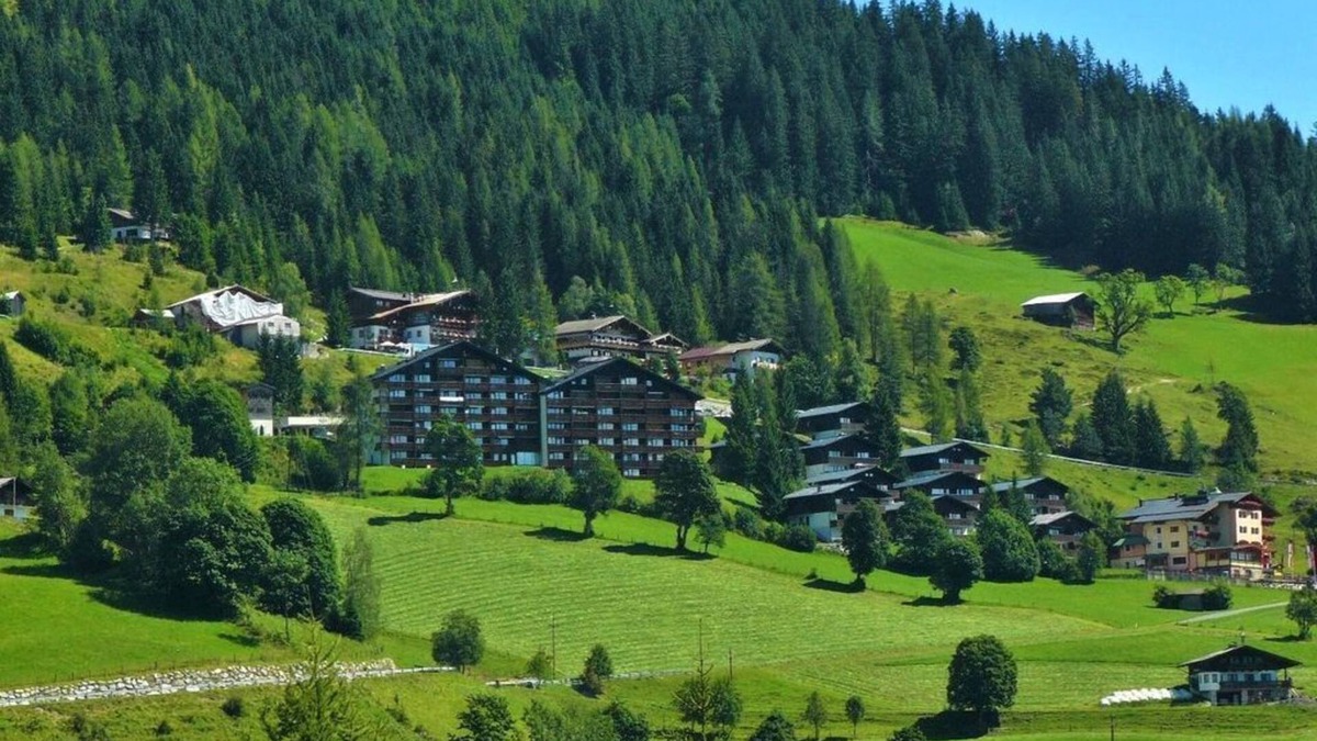 Muehlbach Am Hochkoenig Apartment | Apartment, bath, toilet, 1 bed room - Apartment Anemone