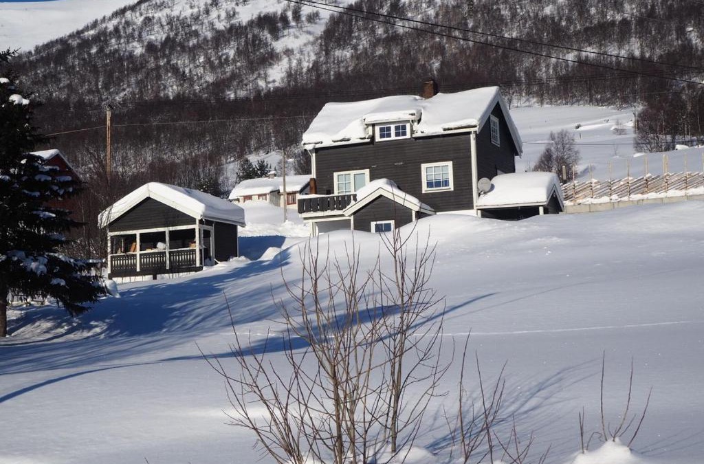Hol Municipality Apartment | Apartment between Ustaoset and Geilo