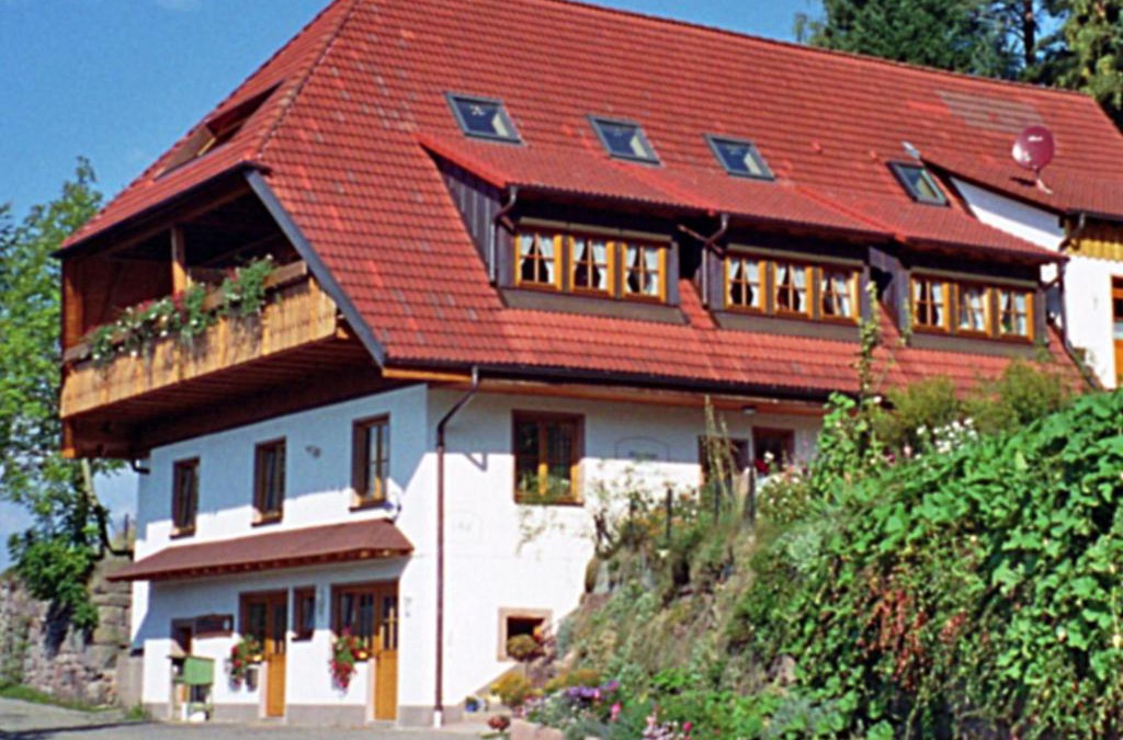 Schiltach Apartment | Apartment Biohof Herrenweg-1 by Interhome