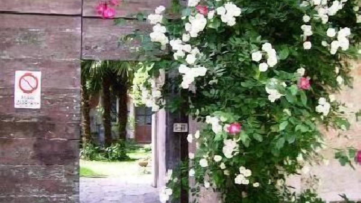 Miasino House | Apartment Caprifoglio in Miasino