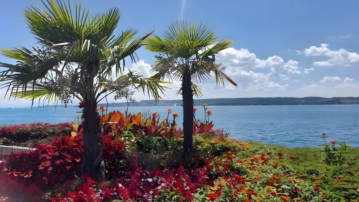 Ueberlingen Apartment | Apartment 'Directly On The Überlingen' with Lake View and Wi-Fi