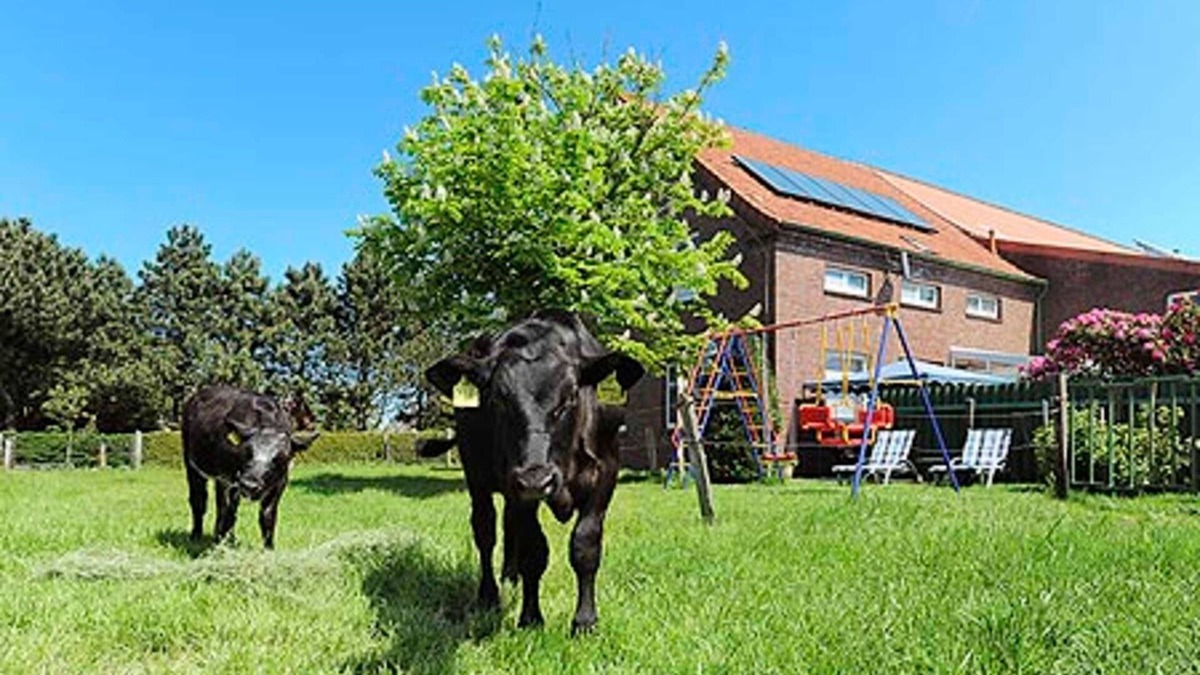 Westerholt Other | Apartment - Ferienhof Janssen