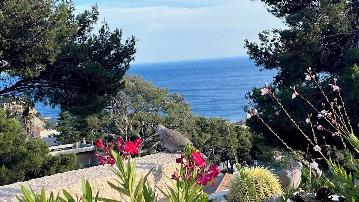 Cassis Apartment | Apartment/flat - Cassis