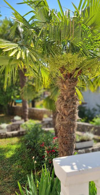 Mihotici Apartment | Apartment Garden & Sea