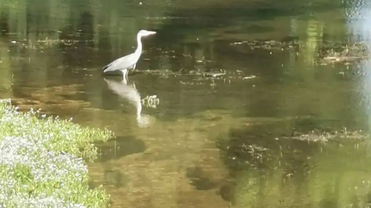 Commercy Apartment | Apartment 'Grand Appartement Plein Centre' with Private Terrace, Wi-Fi and Air Conditioning