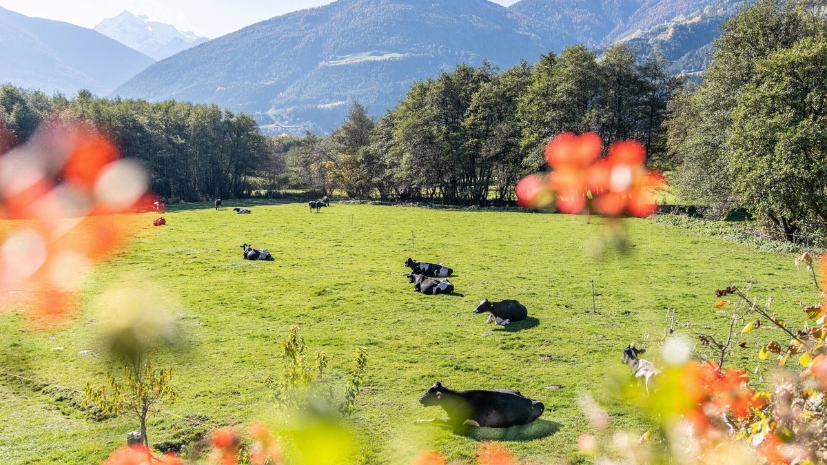 Sluderno Apartment | Apartment 'Hausergut Bonita 4' with Mountain View, Shared Garden and Wi-Fi