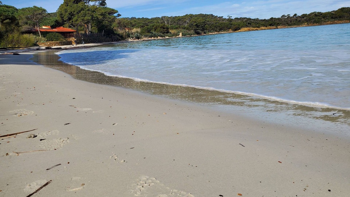 Porquerolles Apartment | Apartment - ILE DE PORQUEROLLES