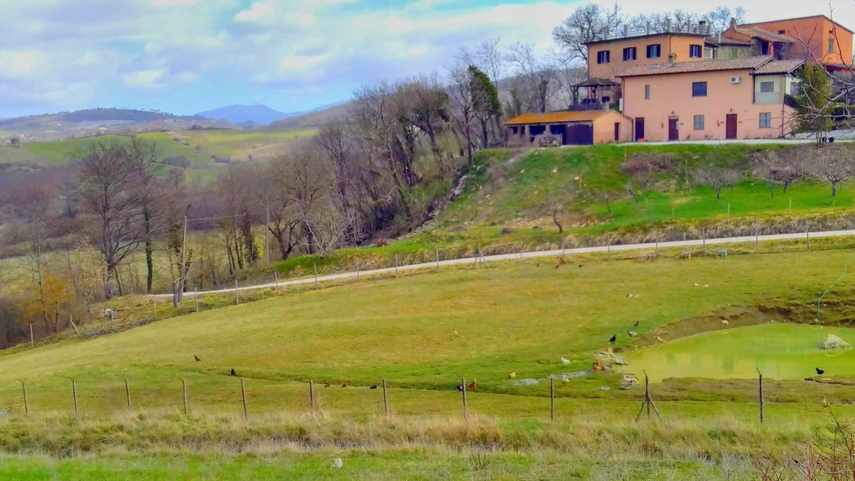 Valfabbrica Other | Apartment in Agriturismo Sanlorenzo in the green hills of Umbria