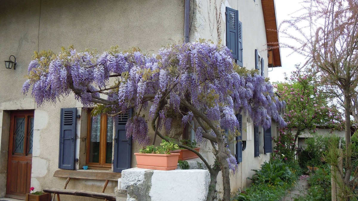 Seynod Apartment | Apartment in an old farmhouse