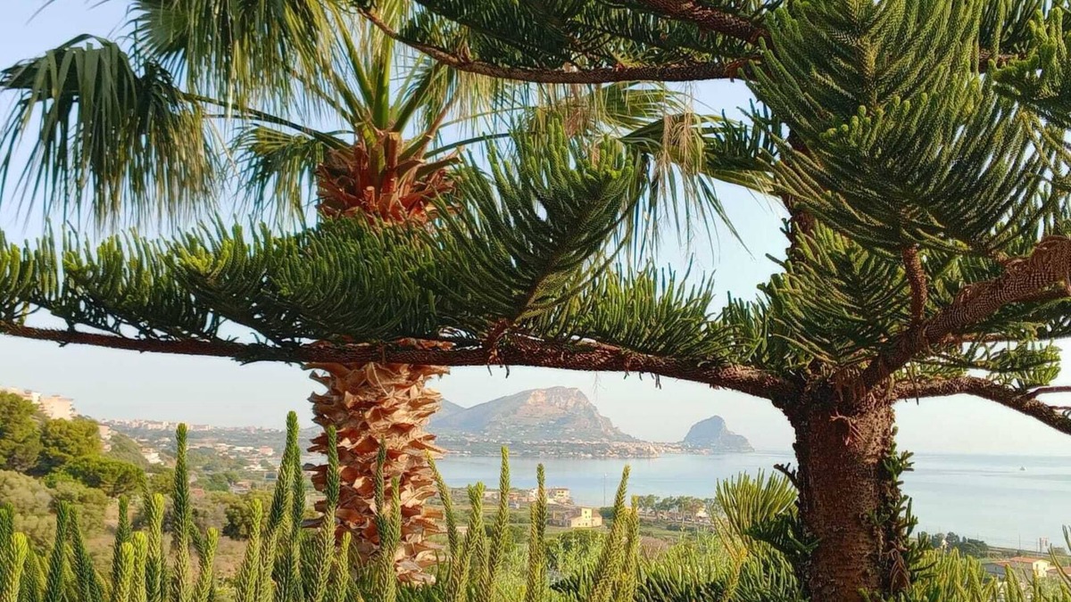 Altavilla Milicia House | Apartment in villa, in hillside location with sea view.