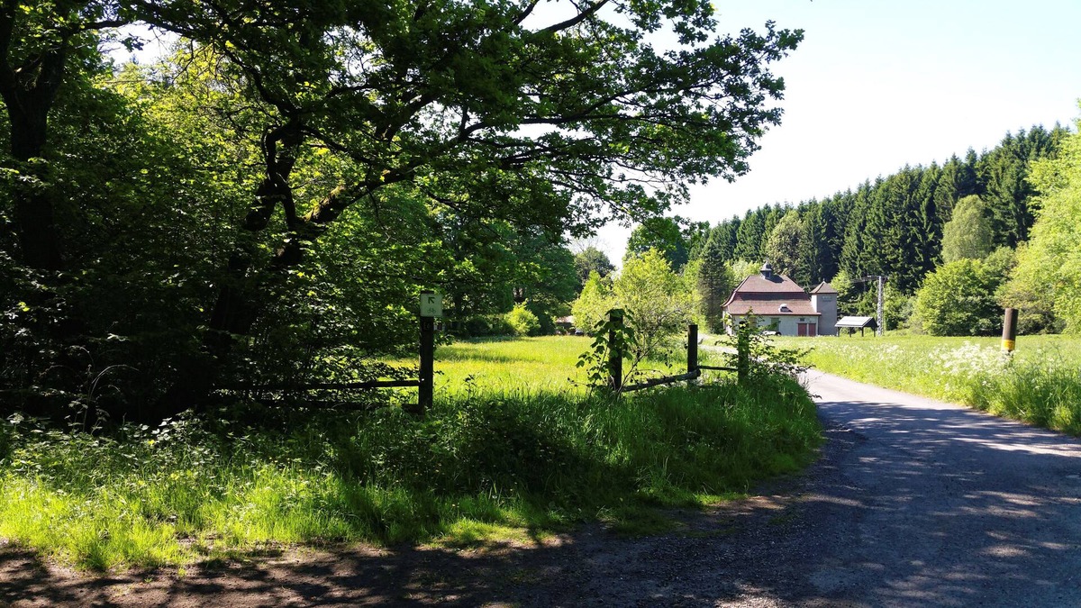 Nauroth Apartment | Apartment in the forest - Nauroth in the Westerwald - enjoy your holiday in an absolutely natural location