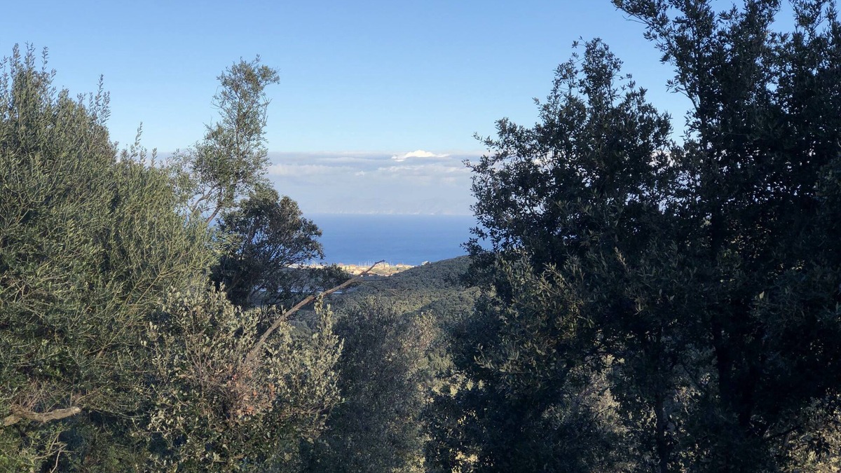 Rogliano Cottage | Apartment in the heart of nature with breathtaking views