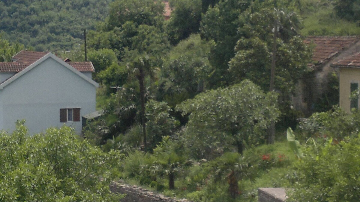 Zelenika Apartment | Apartment in Zelenika, 3-4km close to Herceg Novi. Wi - Fi, Parking place