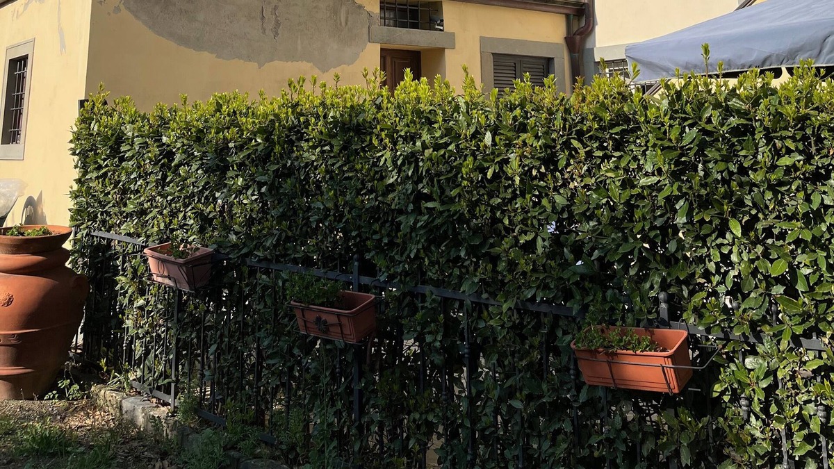 Vaglia Apartment | Apartment