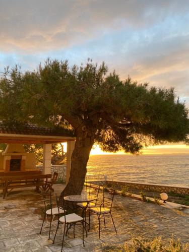 Primosten Burnji Apartment | Apartment L'odore Del Mare