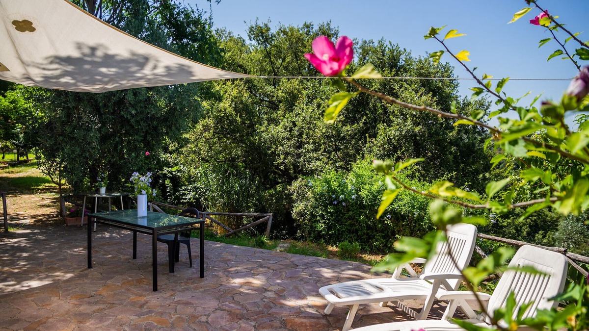 Scansano Apartment | Apartment "La Casa nel Frutteto" with Private Garden