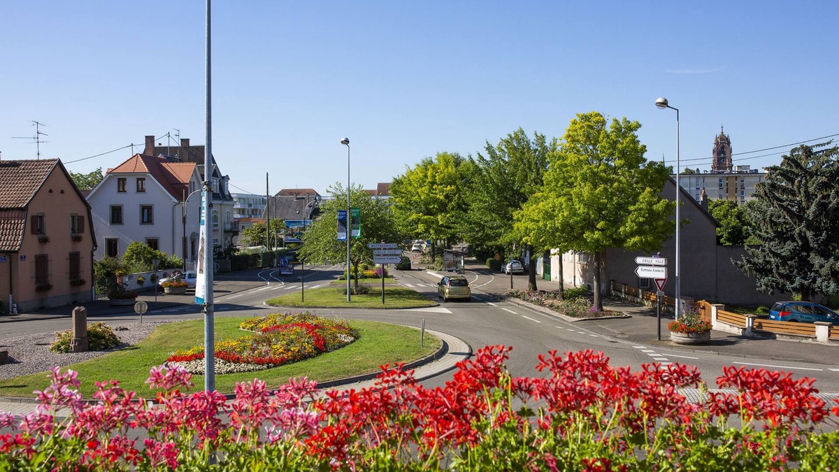 Selestat Apartment | Apartment "Le MAIA"