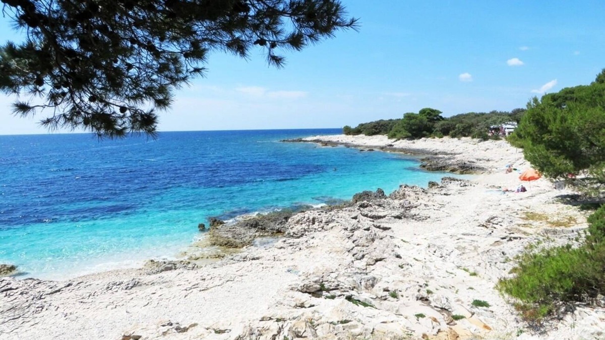 Veli Rat Apartment | Apartment Oasis - 50 m from the sea: A2(4+1) - Veli Rat, Island Dugi otok, Croatia