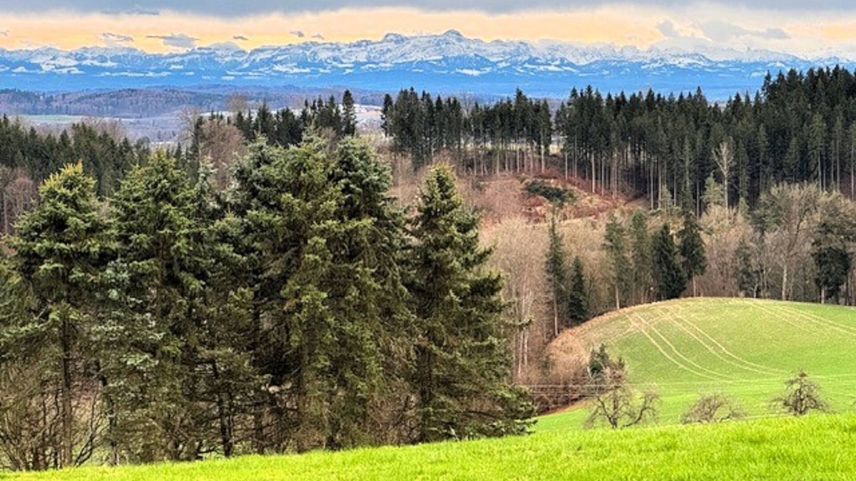 Taisersdorf Apartment | Apartment 'Panoramablick Taisersdorf' with Mountain View, Balcony and Wi-Fi