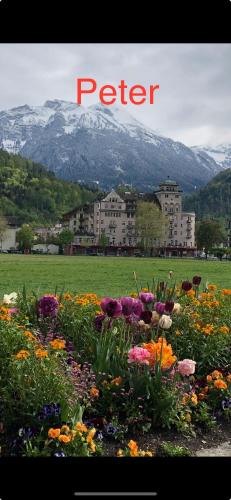 Central Interlaken Apartment | APARTMENT PETER
