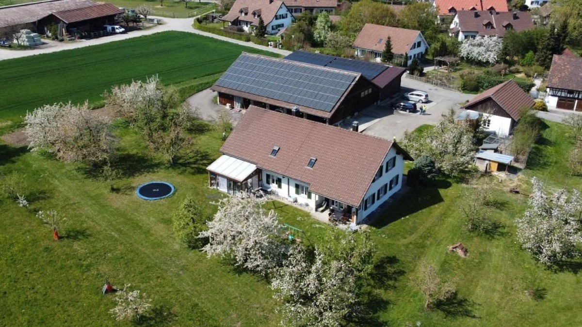 Andelfingen District Other | Apartment "Pünthof" on the farm