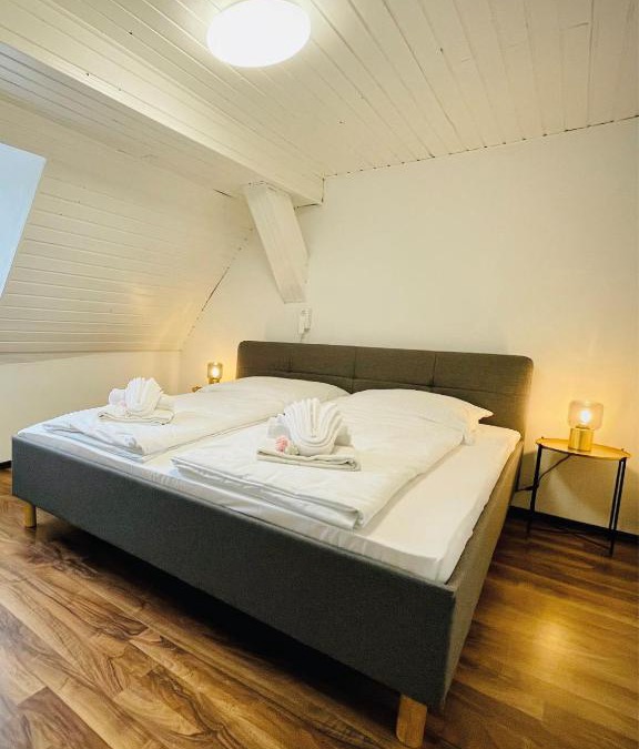 Schwabach Apartment | Apartment Rheingold