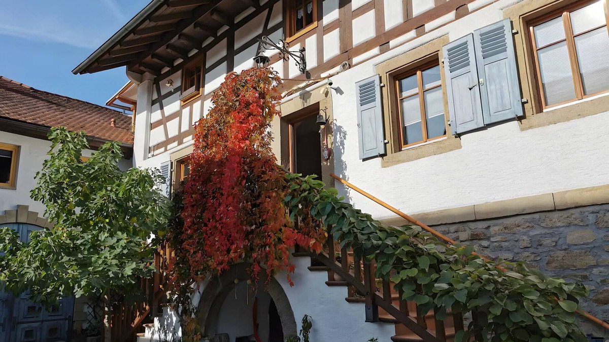 Duhren Apartment | Apartment 'Rose Pere' with Private Terrace and Wi-Fi