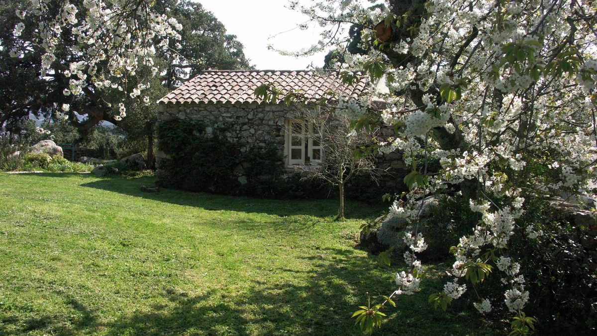 Aglientu Apartment | Apartment 'Rosmarino' with Shared Pool, Private Garden and Air Conditioning