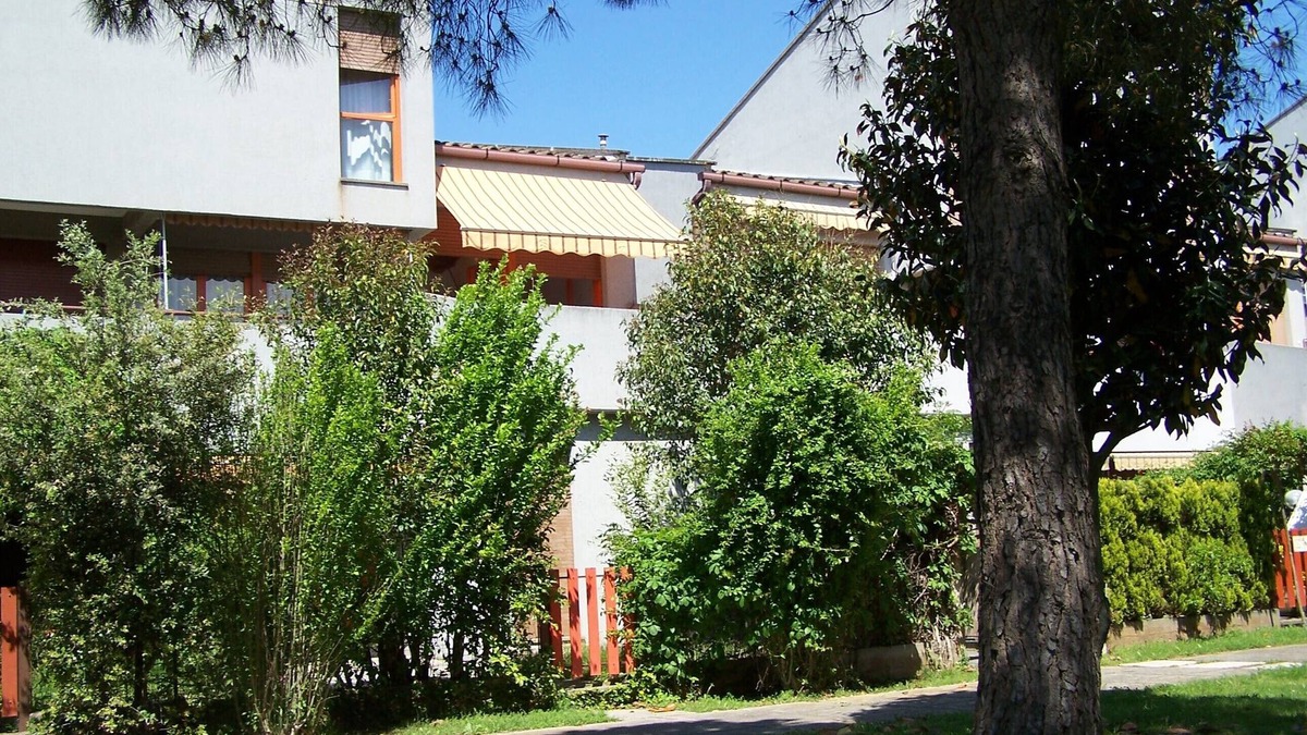 San Vincenzo Apartment | Apartment San Vincenzo, sea and pinewood