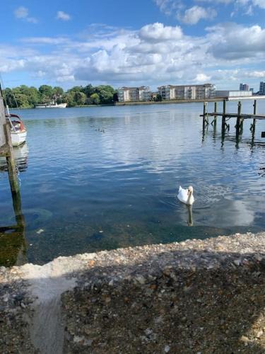 Portswood House | Apartment, Stylish 2 bed Riverside House, 2 Kingsize beds, Free Parking