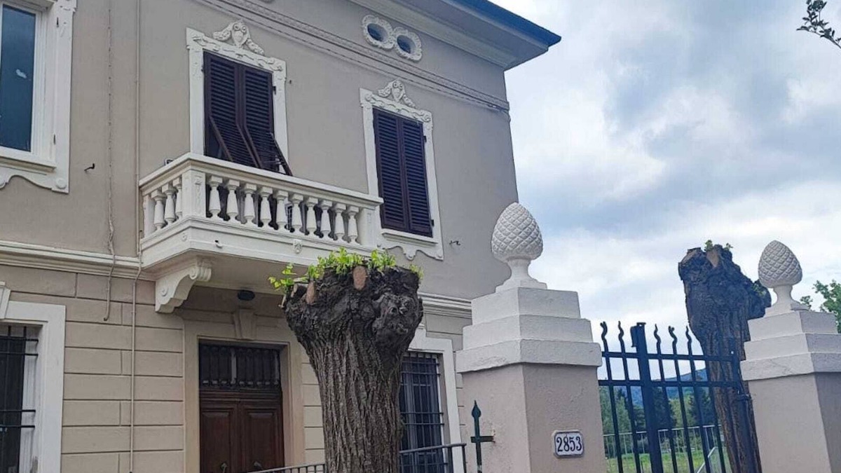 Santa Maria del Giudice Apartment | Apartment 'Villa Giusti' with Mountain View, A/C, Garden & BBQ