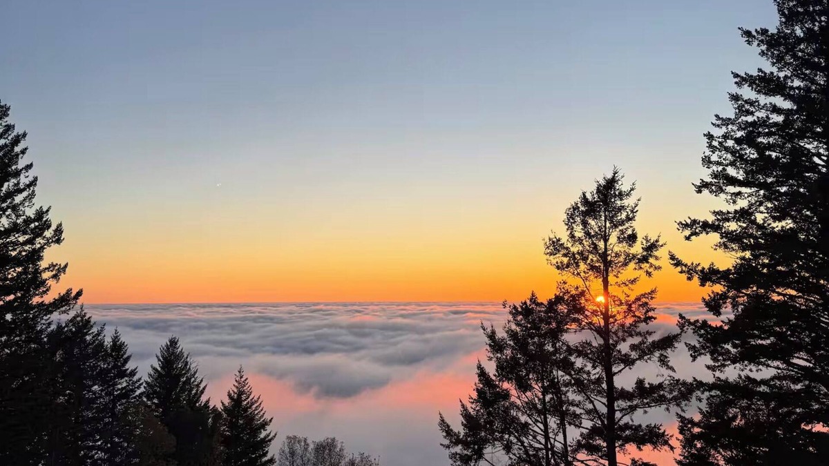 Redwood City Condo | Apartment w hot tub /forest & ocean view