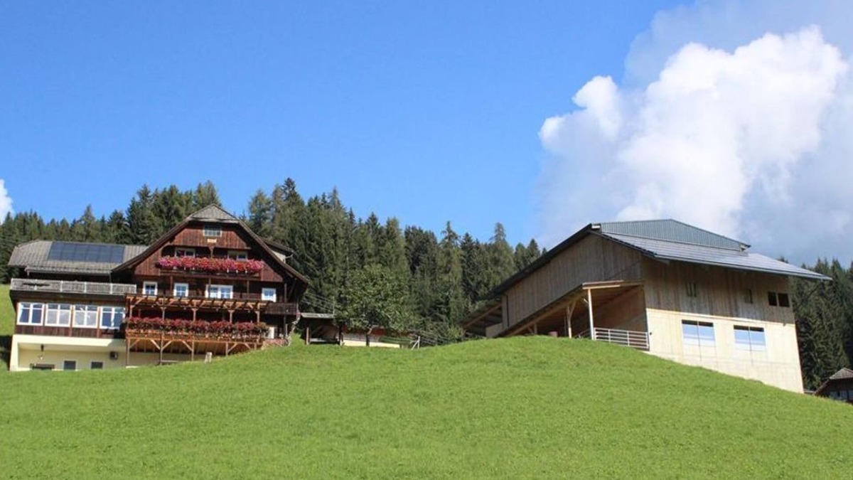 Arriach Other | Apartment Wiesenblick - Pension Reiner - Lanerhof