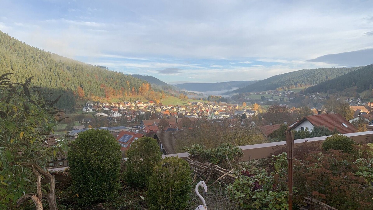 Baiersbronn Apartment | Apartment with a view