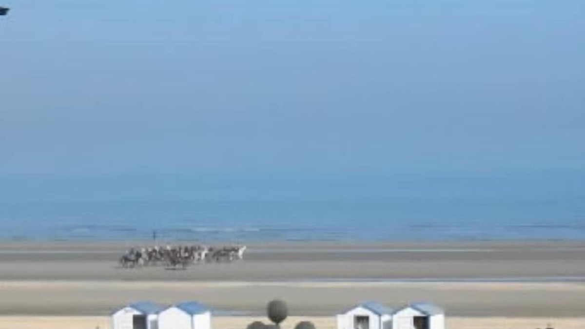 De Panne Apartment | apartments - 5 rooms - 4/6 persons