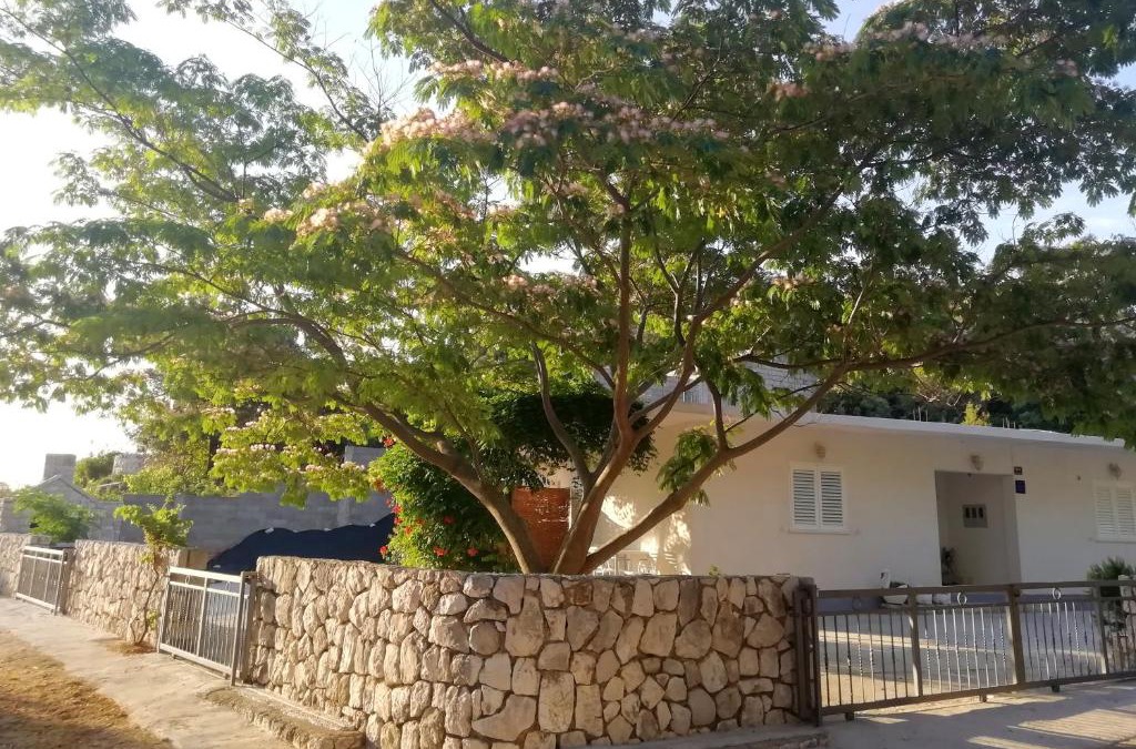 Kobas Apartment | Apartments by the sea Cove Saplunara, Mljet - 4896
