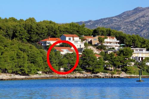 Lumbarda Apartment | Apartments by the sea Lumbarda, Korcula - 9172
