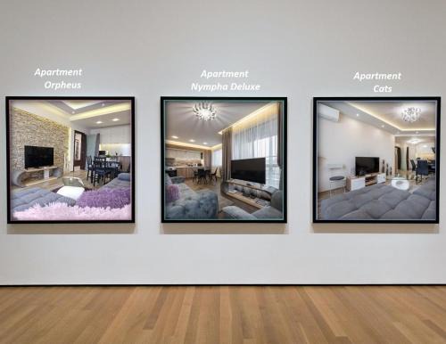 Odesos Apartment | Apartments Cats