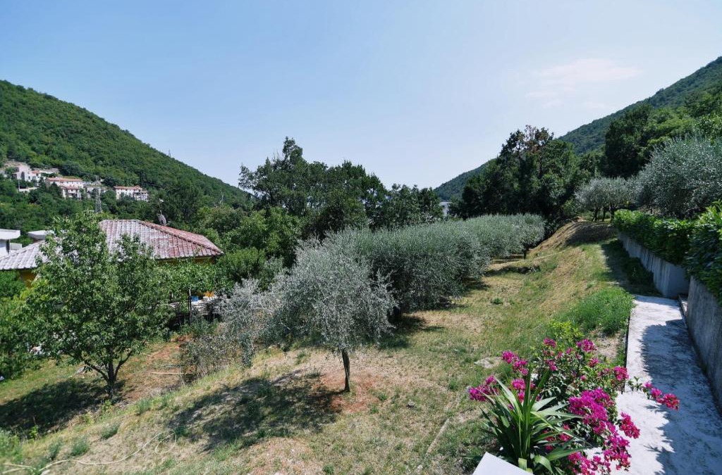 Sucici Apartment | Apartments Jolanda