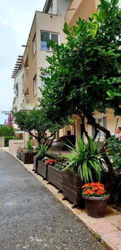 Gjerana Apartment | Apartments Lati