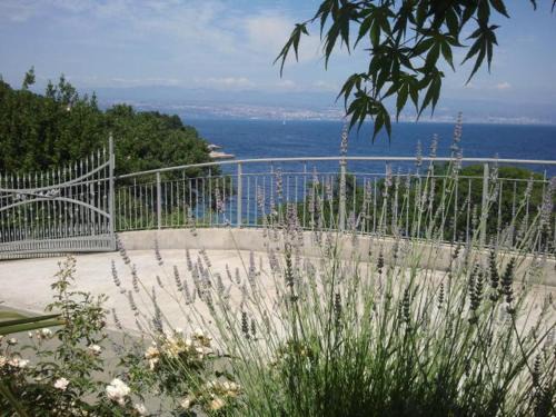 Medveja Apartment | Apartments Mira