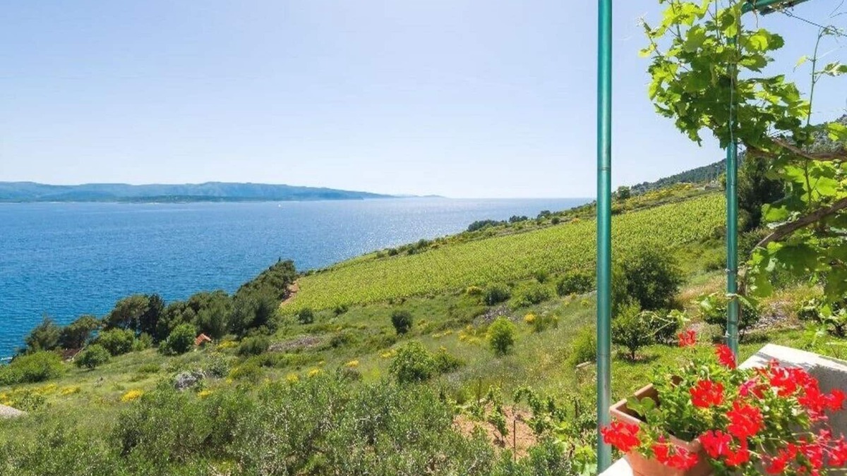 Murvica Apartment | Apartments Nada, (14745), Bol, hr