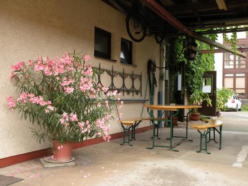 Eisenach Apartment | Apartments Schramm